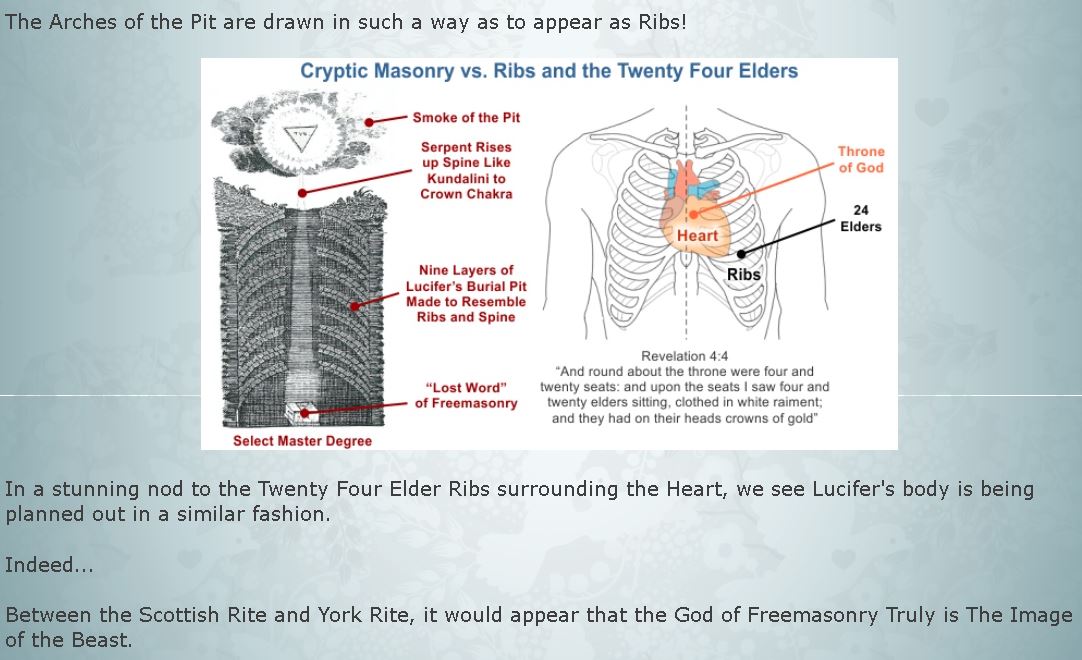 24 elder ribs.JPG