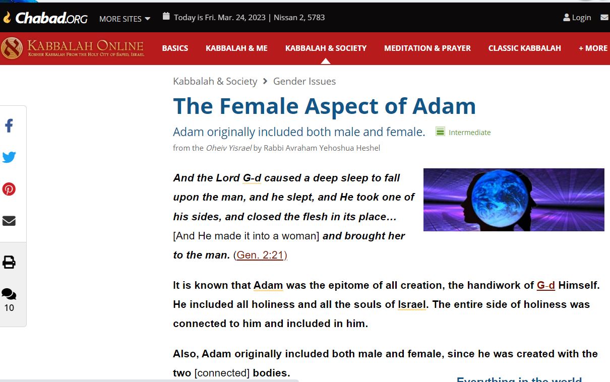 adam hermaphrodite 05.JPG