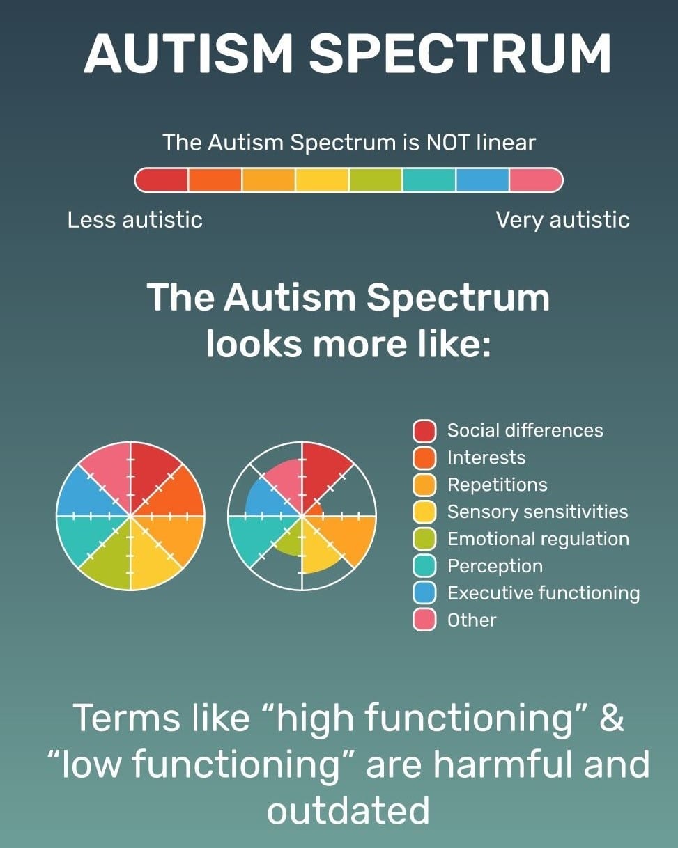 autism-spectrum-wheel-goally-infographic.jpg