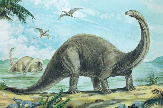 Brontosaurus.jpg