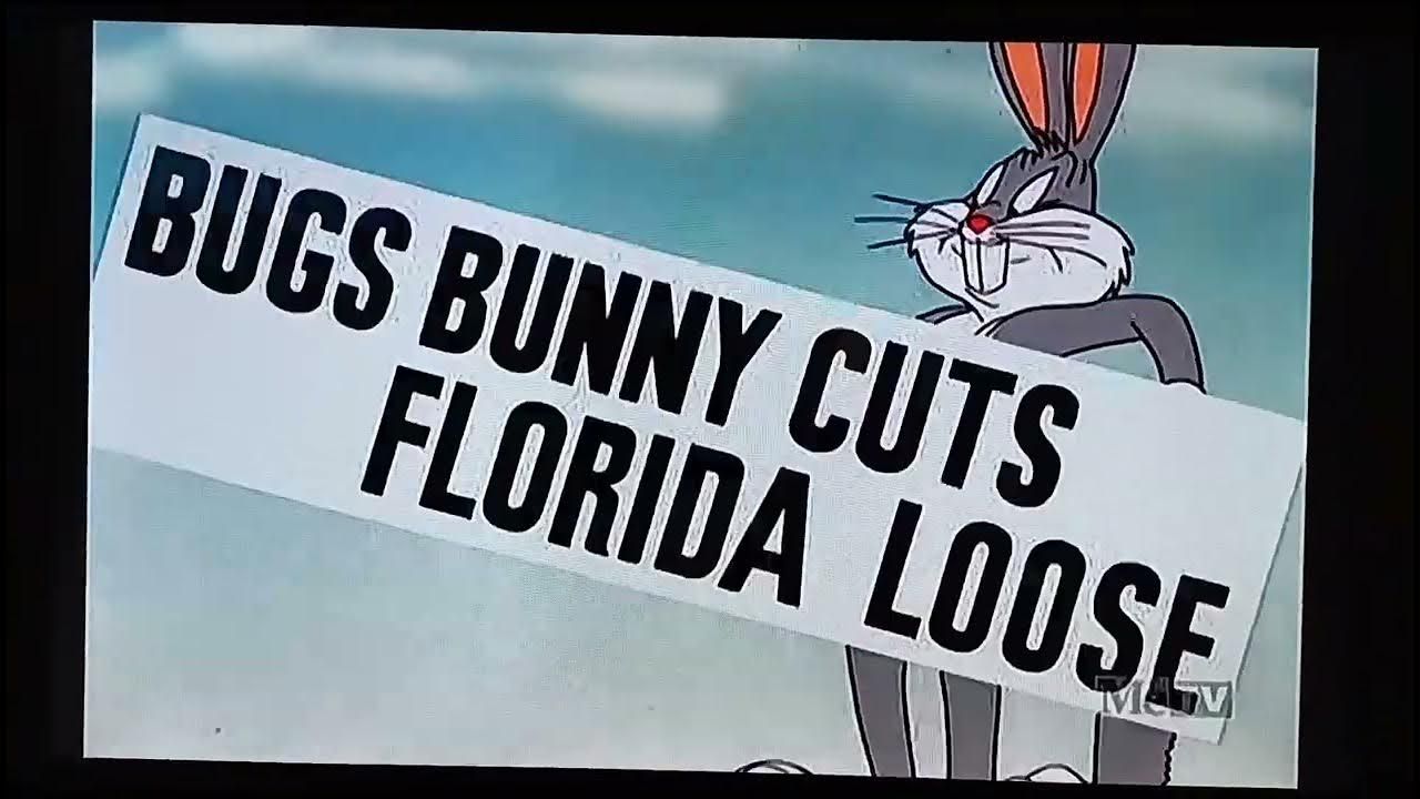 bugsbunnyflorida.jpg