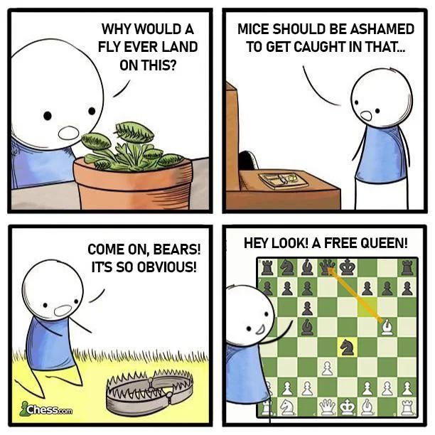 chesscomic.jpg