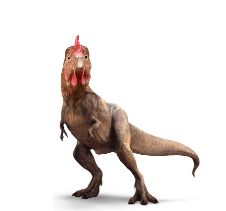 chicken_t_rex_dinosaur_png_by_brent4861-daspa2r.jpg