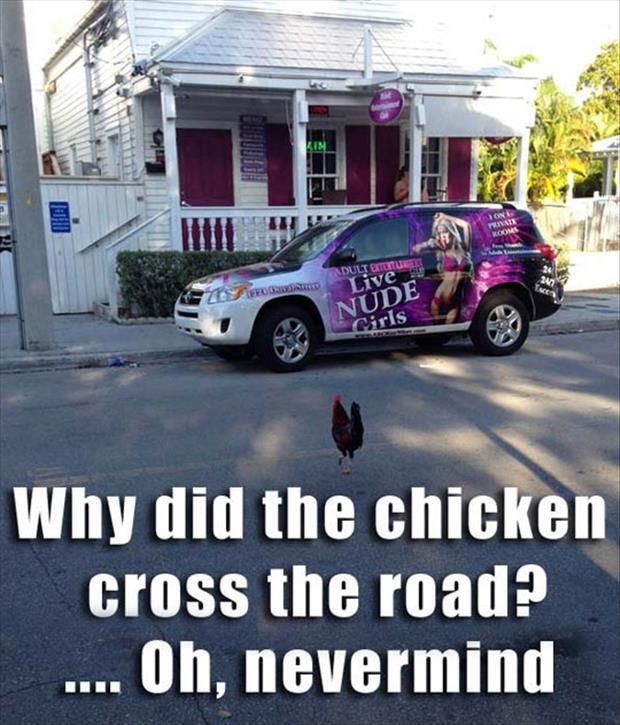 chickencrossing.jpg