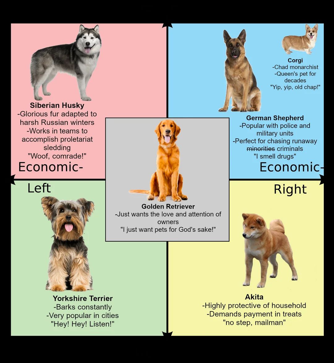 dogpoliticalcompass.jpg