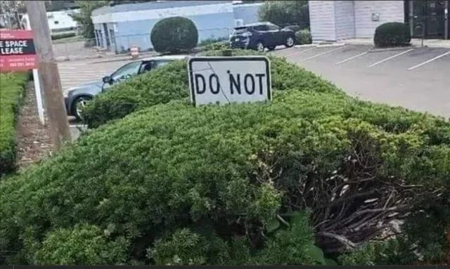 donotbushes.jpg