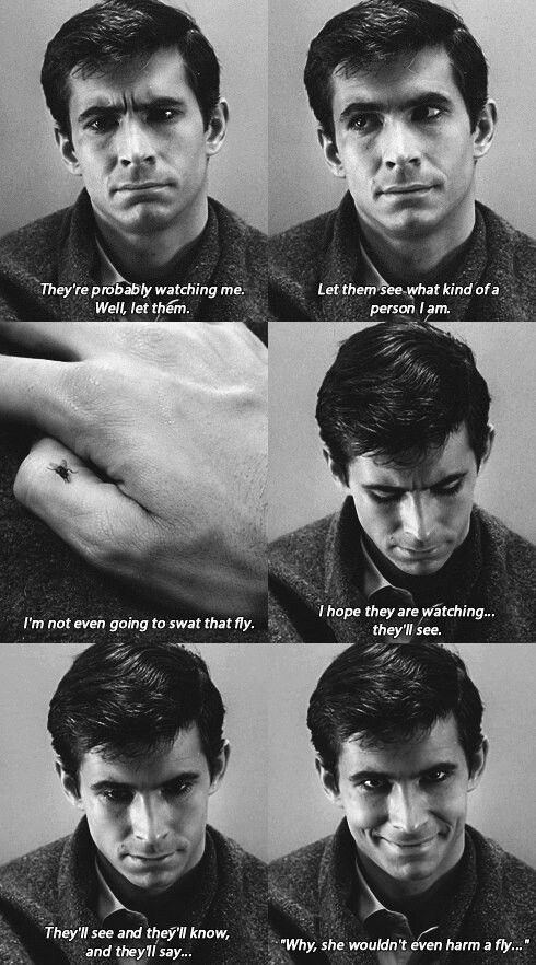 ec8f71e55a43ee1bd7b60511ead7c91d--norman-bates-bates-motel.jpg