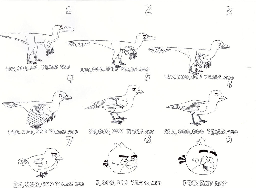 evolution_from_dinosaur_to_angry_bird_by_angrydinobirds_d71584s-fullview.jpg