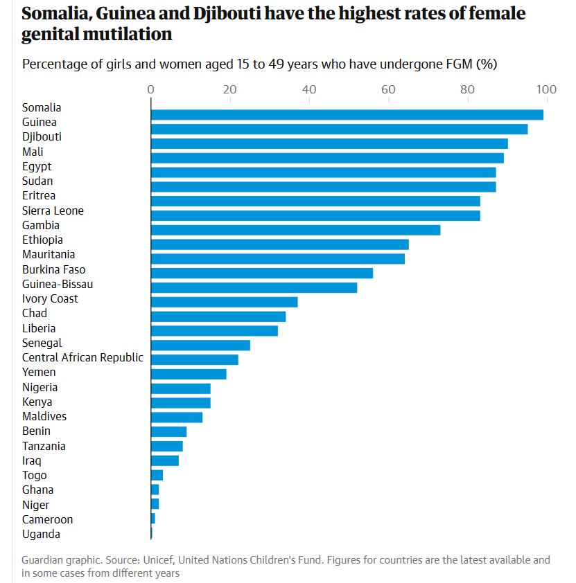 FGM-001-Capture.JPG