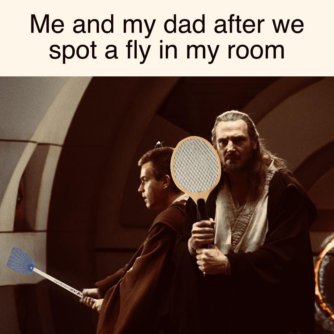 flyswatterjedi.jpg