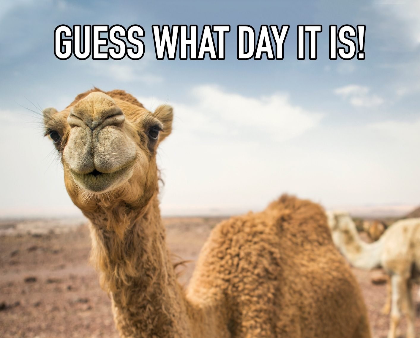 Guess what day.jpg