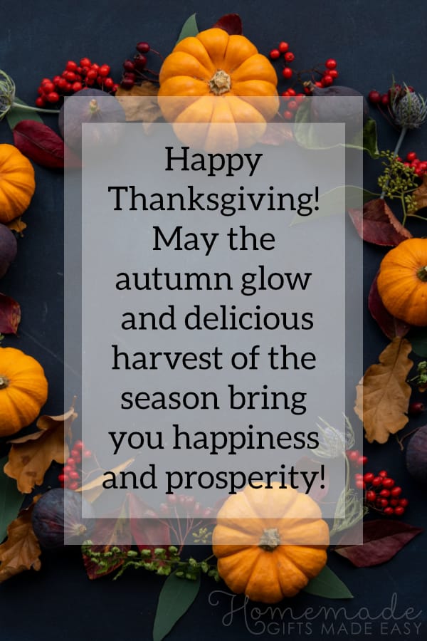 happy-thanksgiving-image-autumn-glow-harvest-600x900.jpg