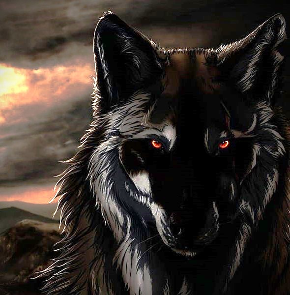 HD-wallpaper-the-dark-wolf-bvb-zexon-gothic-anime.jpg