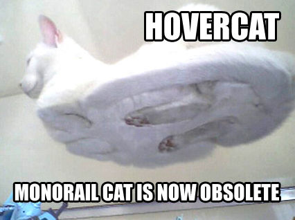 hovercatbo4.jpg