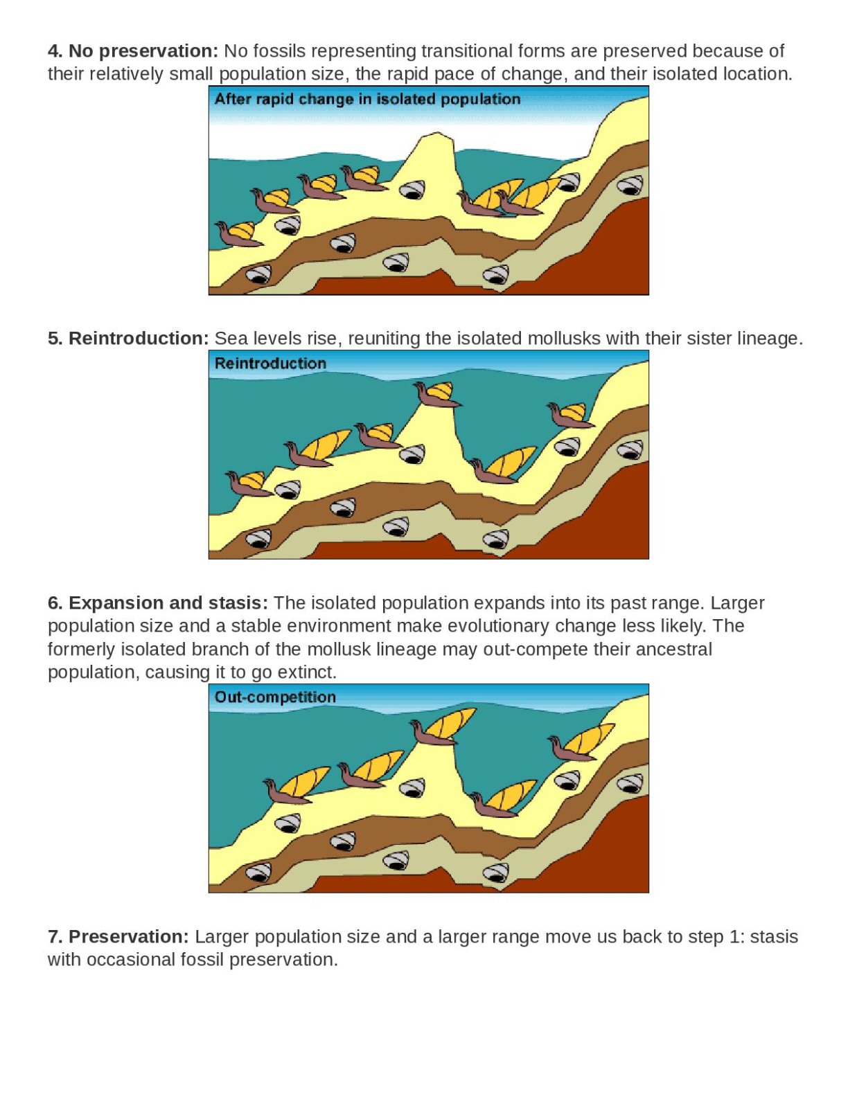 More on punctuated equilibrium-page-002.jpg