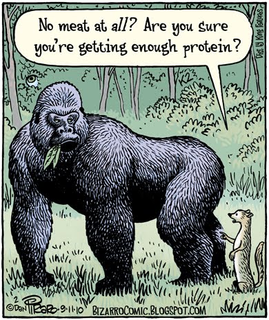 protein-getting-enough-gorilla-bizarrocomic.com_.jpg