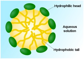 Proto-cell.jpg