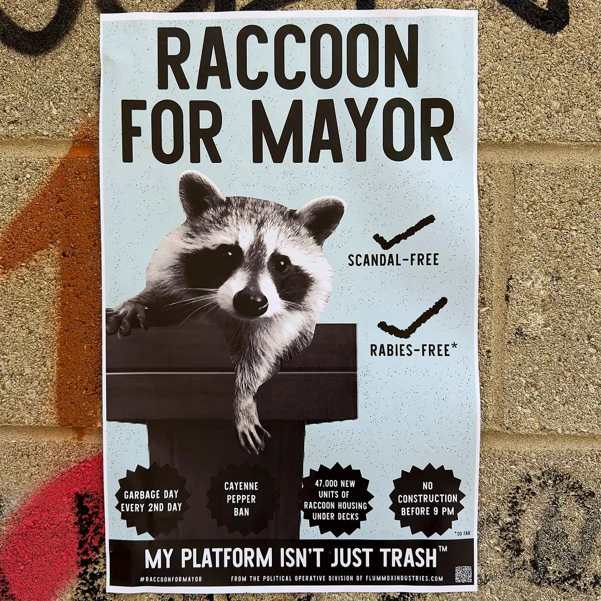 raccoonformayor.jpg