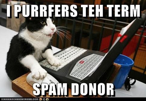 spam-donor.jpeg