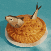 stargazy-pie-pie.gif