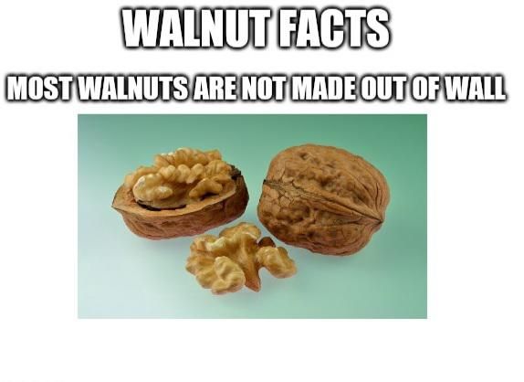 walnutfact.jpg