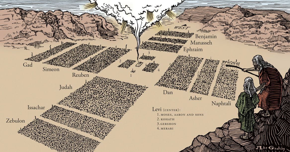 Wilderness Ovum.jpg