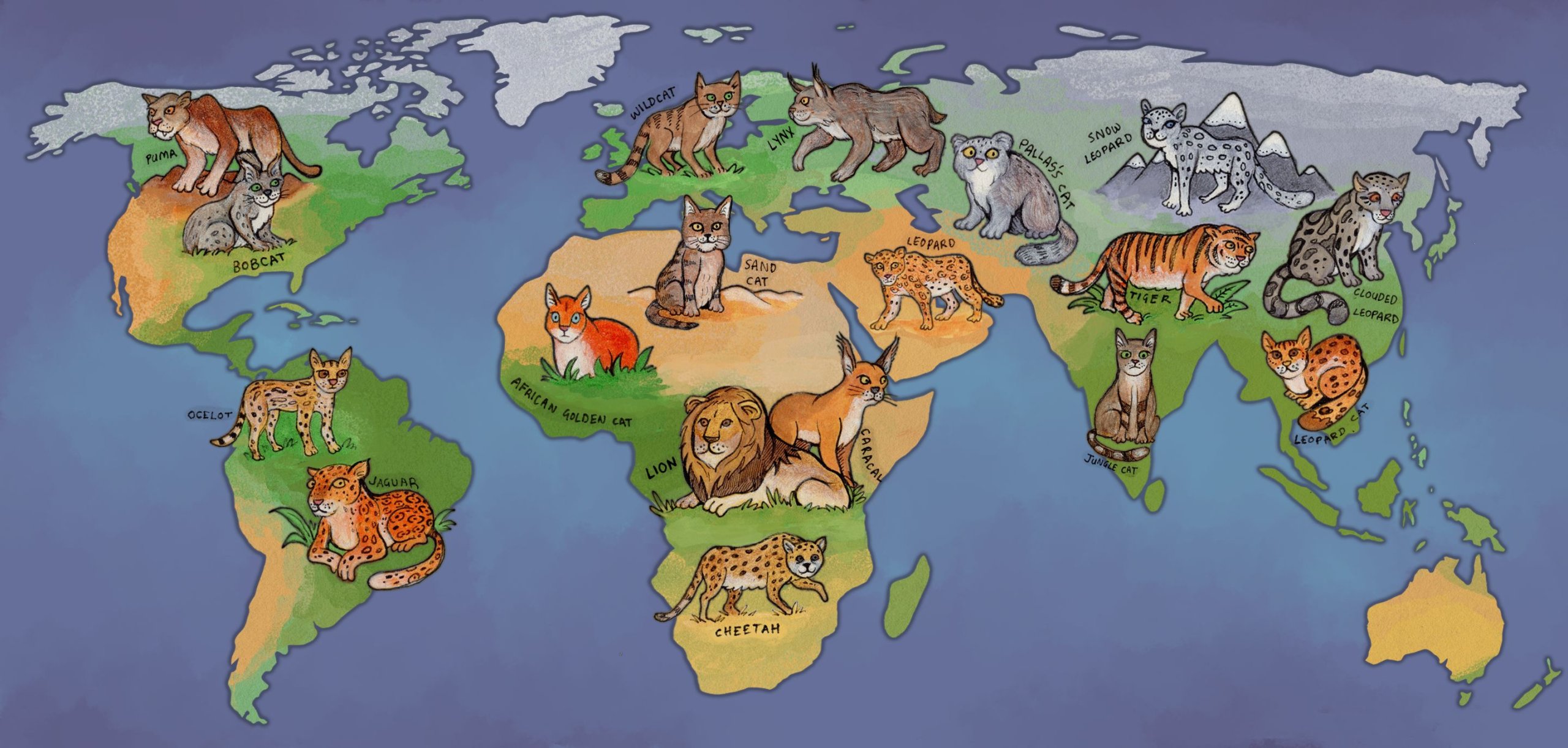 worldcats.jpg