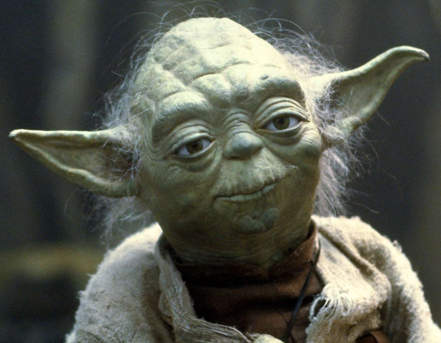 yoda-56a8f97a3df78cf772a263b4.jpg