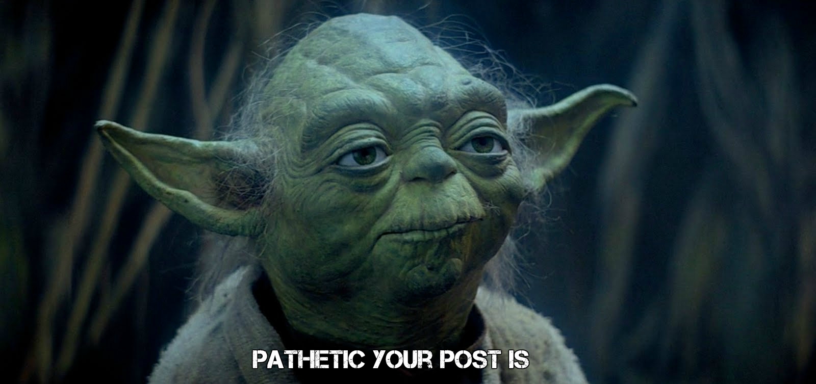 yoda1.jpg