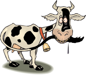 cow-311266_1280.png