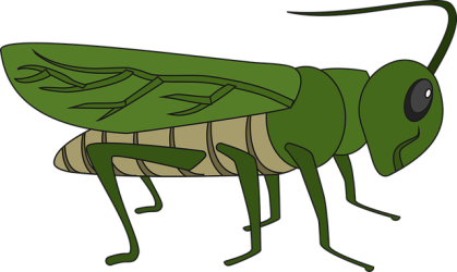 grasshopper-6664768_640.png