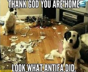 dogs-made-a-mess-than-god-you-are-home-look-what-antifa-did.jpg