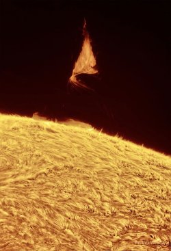 A triangular Prominence hangs over the sun.jpg