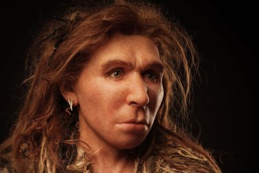 neanderthal_woman-4x3.jpg